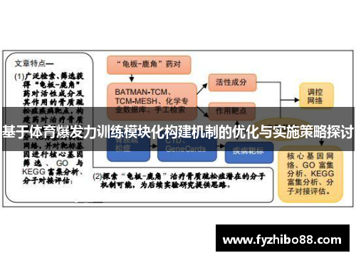 基于体育爆发力训练模块化构建机制的优化与实施策略探讨
